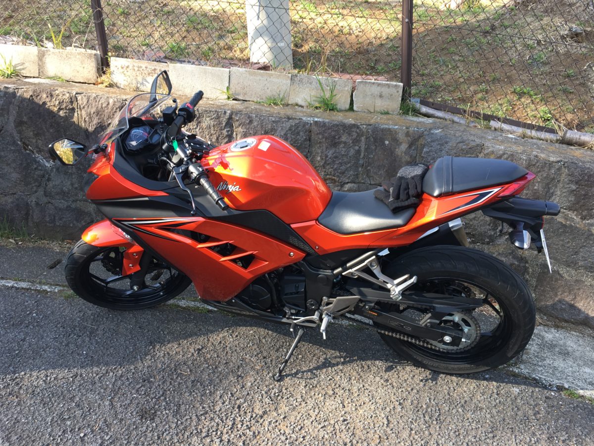 Kawasaki Ninja 250R test ride review